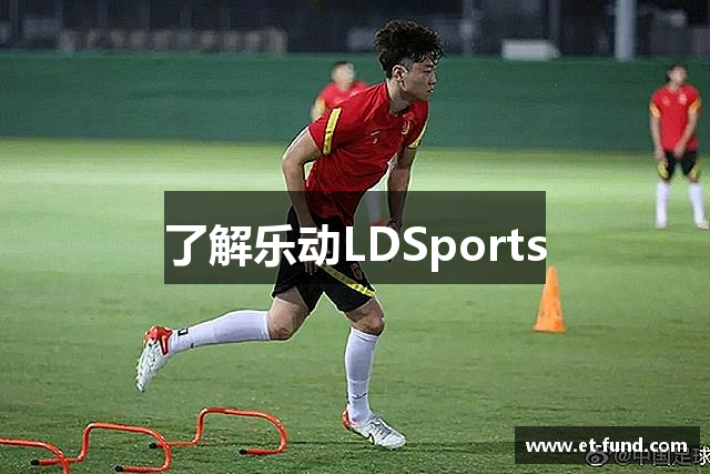 了解乐动LDSports